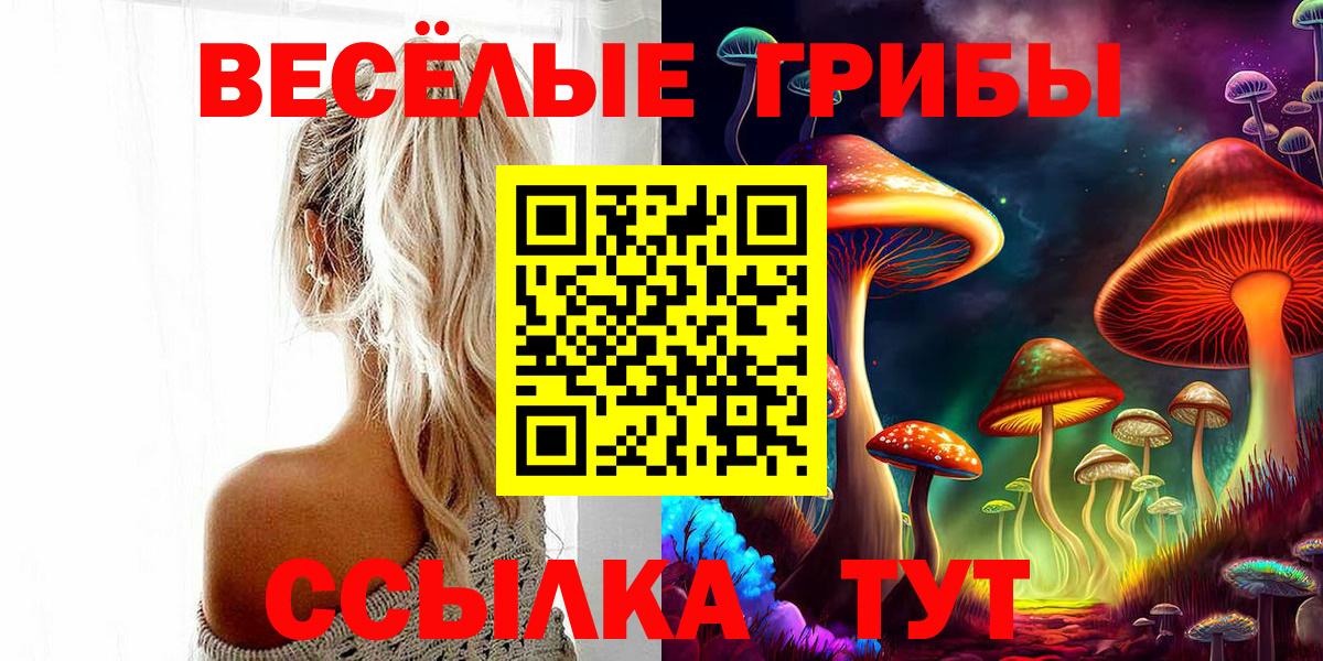 Псилоцибиновые грибы мухоморы Копейск