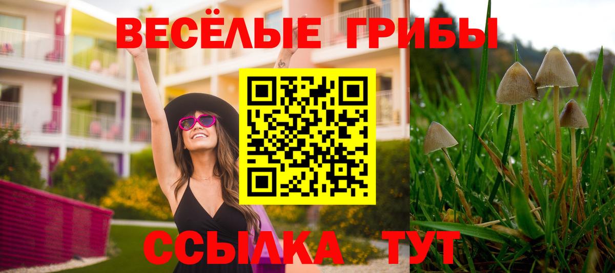 Галлюциногенные грибы Psilocybine cubensis  Вход с VPN  Копейск 